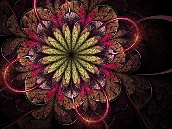 Flor colorida brilhante, design fractal — Fotografia de Stock