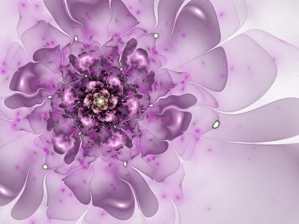 Glatte violette Blüte, fraktale Grafik — Stockfoto