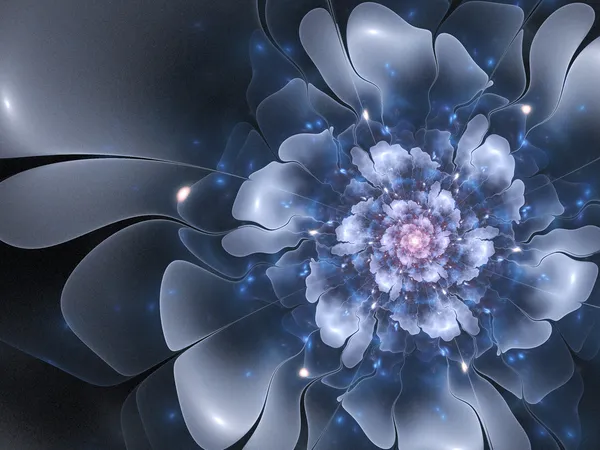 Piękny fraktal streszczenie kwiat, niebieski kolor — Zdjęcie stockowe