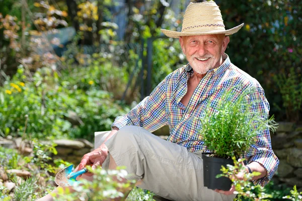 Senior en jardín — Foto de Stock