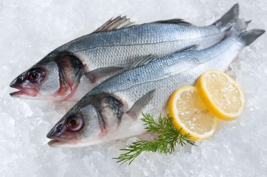 Seabass on ice clipart