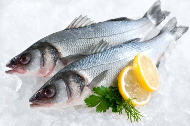 Seabass (Dicentrarchus labrax) on ice clipart