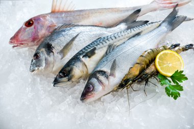 Seafood on ice clipart