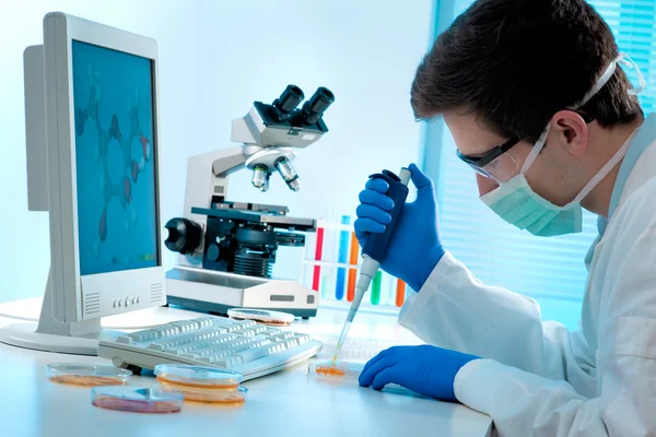 Cientista que trabalha no laboratório — Fotografia de Stock