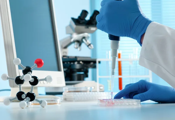 Scientist working at the laboratory — Stock Photo, Image