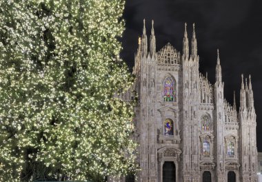 Noel ağacı ve Katedrali, milan
