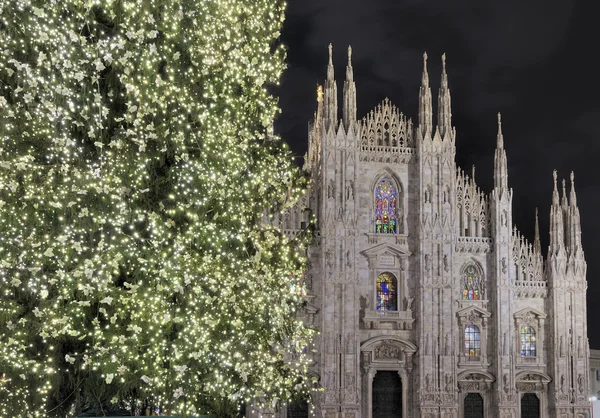 크리스마스 트리 및 대성당, 밀라노 — 스톡 사진