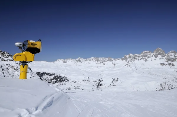 Generatore di neve a col margherita — Foto Stock