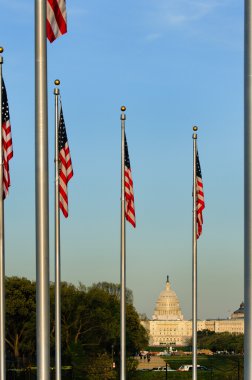 United States Capitol seen from Washington Monument clipart