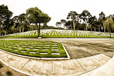 Military Cemetery clipart