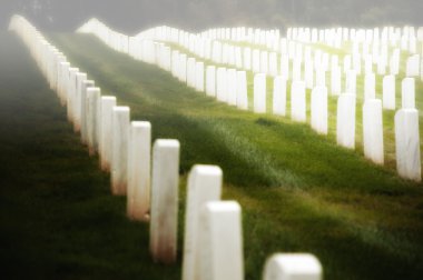 Military cemetery gravestones clipart