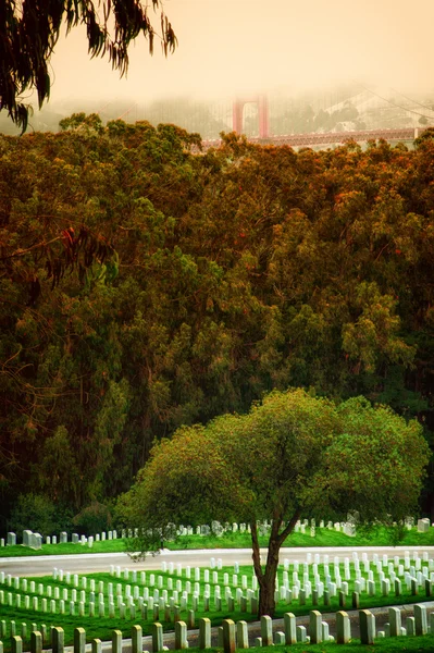 Военное кладбище США — стоковое фото