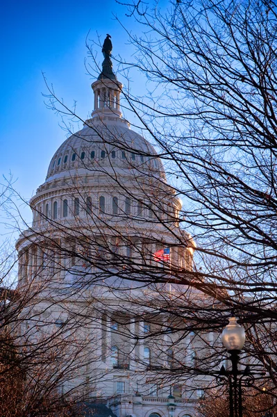 Capitolio de los Estados Unidos, EEUU — Foto de Stock