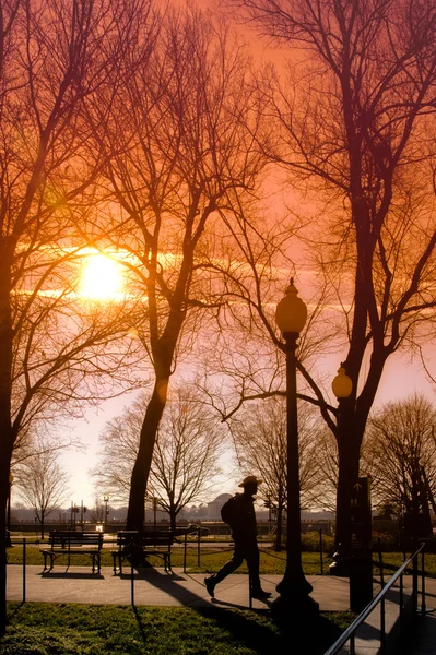 Spaceru w parku na zachodzie słońca — Zdjęcie stockowe