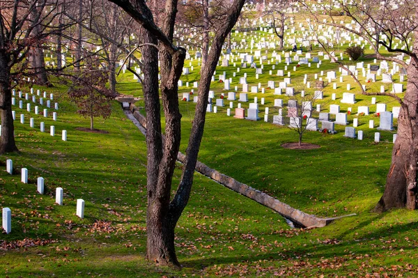 Militaire begraafplaats Arlington national cemetery — Stockfoto