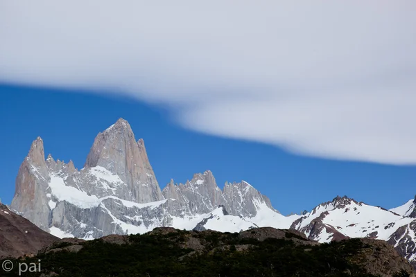 Fitz roy mountain and glaciers 3 — Stock Photo, Image