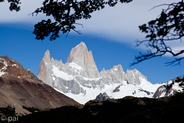 Fitz roy mountain and glaciers 2 — Stock Photo, Image