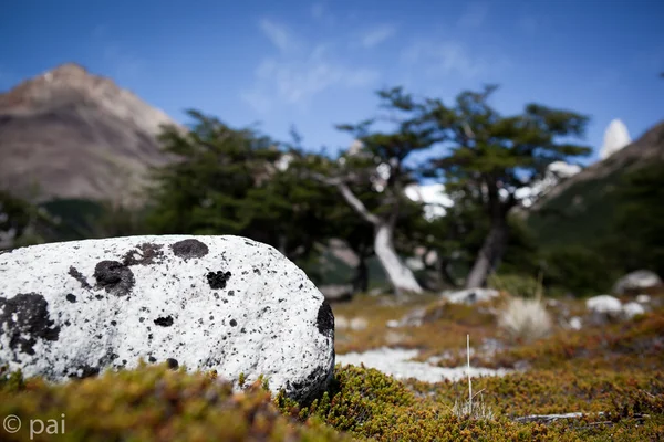 Roca solitaria manchada — Foto de Stock