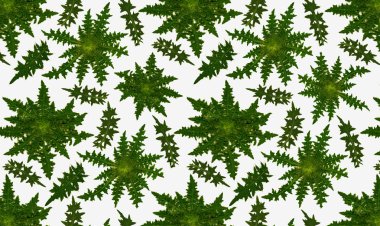 Pattern of complete rosettes and leaves of a thistle on a white background clipart