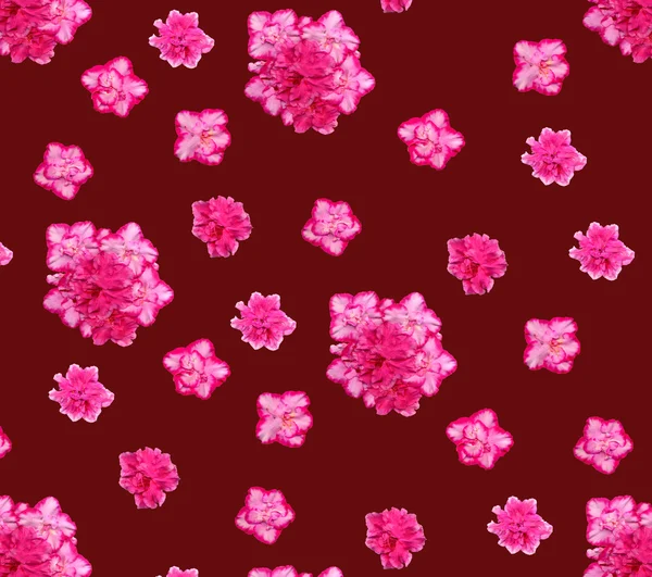 Néhány nagy azalea virágokat barna alapon, bármely bővíthető mintázat — Stock Fotó