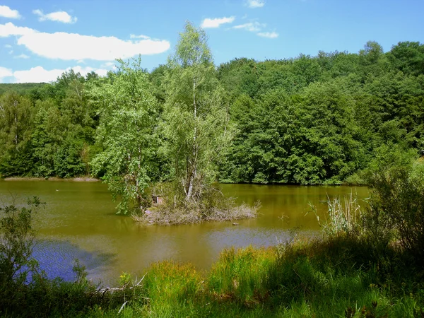 Un estanque de peces con una isla para patos — Foto de Stock