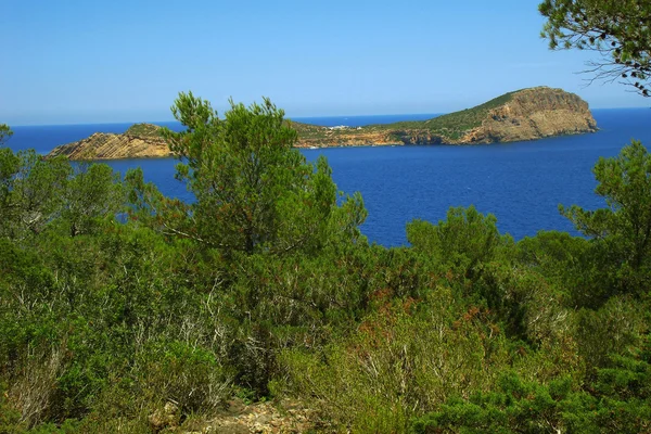 Ibiza med illa de tagomago i bakgrunden — Stockfoto
