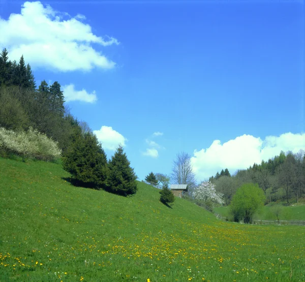 Łąki w dolinie na wiosnę — Zdjęcie stockowe