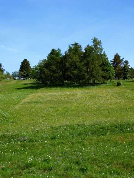 Large meadow on a hillside also for your Compositing — Stock Photo, Image