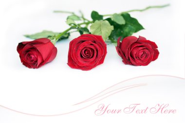 Red Roses clipart