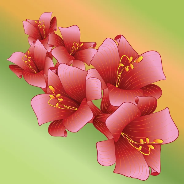 Fondo decorativo de flores. Ilustración vectorial . — Vector de stock