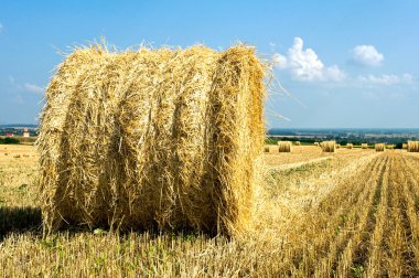 Straw rick on the field clipart