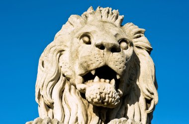 The stone lion of the Chain Bridge in Budapest clipart