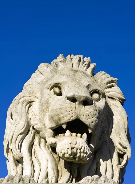 在布达佩斯的链桥的石头狮子 — 图库照片
