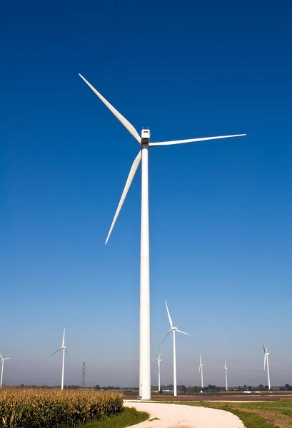 Пейзаж с ветряными турбинами — стоковое фото