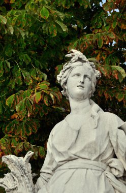 Le jardin des tuileries Paris