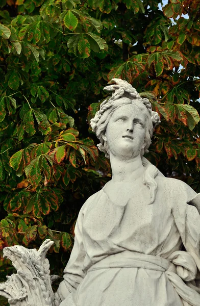 Le jardín des Tuileries en París —  Fotos de Stock