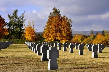 Military cemetery in Budaors clipart