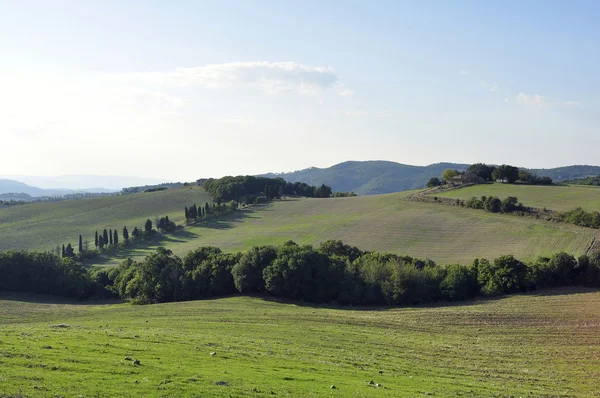 Campo da Toscana — Fotografia de Stock