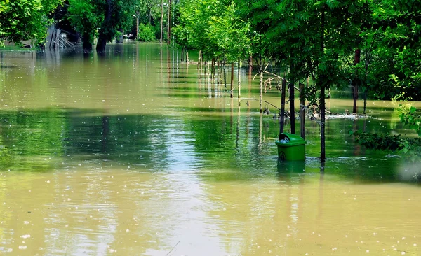 Наводнение на Дунае — стоковое фото