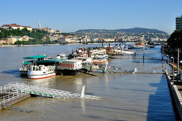 Overswelled 在布达佩斯多瑙河 — 图库照片
