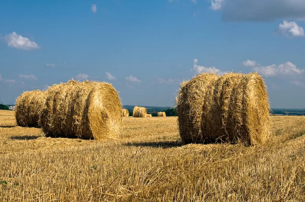 Mattoni di paglia — Foto Stock