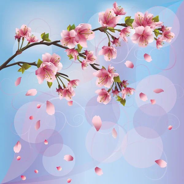 Background with sakura blossom - Japanese cherry tree. — Stock Vector