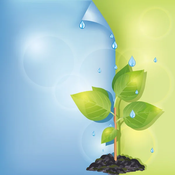 Eco pozadí s rostlin a vodní kapky — Stockový vektor