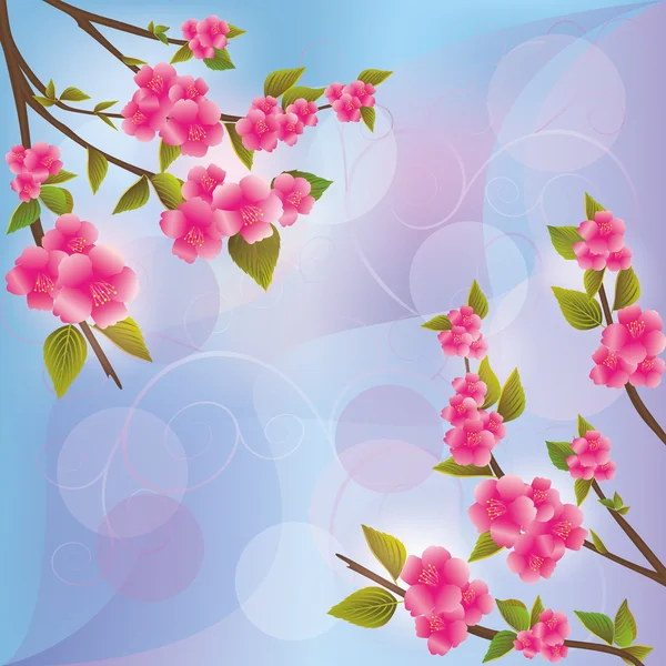Hintergrund mit Sakura-Blüte, japanischer Kirschbaum — Stockvektor