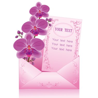 Flower orchid in envelope over white clipart