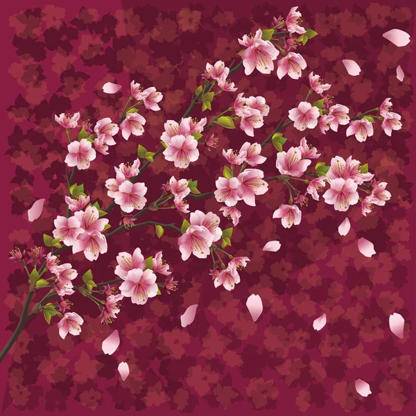 Sfondo giapponese con fiori di sakura — Vettoriale Stock