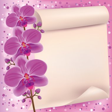 Invitation or greeting card with purple orchid clipart