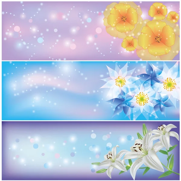 水平方向の花柄バナーの設定 — ストックベクタ