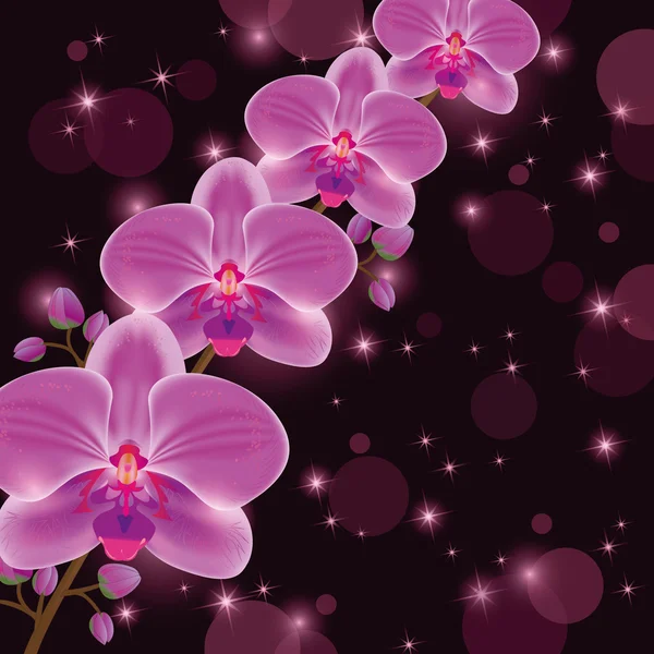 Leuchtende Gruß- oder Einladungskarte mit Orchidee — Stockvektor