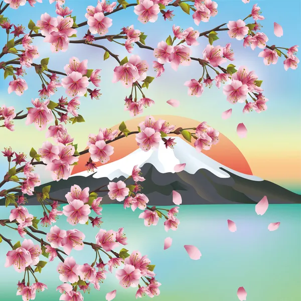 日本樱花树樱花与日本背景 — 图库矢量图片